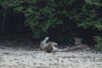 Notes on Field Trips Wilpattu National Park