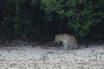 Notes on Field Trips Wilpattu National Park