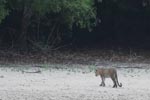 Notes on Field Trips Wilpattu National Park