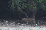 Notes on Field Trips Wilpattu National Park