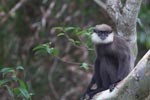 Notes on Field Trips Wilpattu National Park