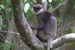 Notes on Field Trips Wilpattu National Park