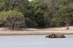 Notes on Field Trips Wilpattu National Park