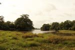 Notes on Field Trips Wilpattu National Park