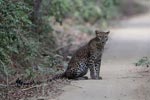 Notes on Field Trips Wilpattu National Park