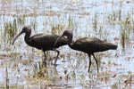 Notes on Field Trips Wilpattu National Park