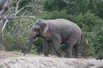 Notes on Field Trips Wilpattu National Park