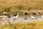 Notes on Field Trips Wilpattu National Park