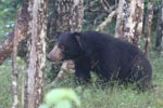 Wilpattu National ParkPark 17-20 October 2019