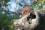 Wilpattu National ParkPark 17-20 October 2019