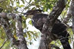 Wilpattu National ParkPark 17-20 October 2019