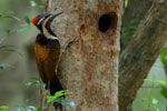 Wilpattu National Park 18, 19 july 2020