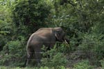 Notes on Field Trips Wilpattu National Park