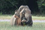 Notes on Field Trips Wilpattu National Park