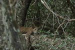 Notes on Field Trips Wilpattu National Park