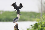 Wilpattu National Park 18th - 20th September 2021