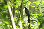 Notes on Field Trips Wilpattu National Park