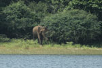 Notes on Field Trips Wilpattu National Park