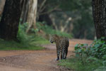 Notes on Field Trips Wilpattu National Park