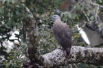 Notes on Field Trips Wilpattu National Park