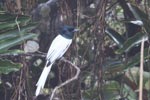 Notes on Field Trips Wilpattu National Park