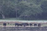 Notes on Field Trips Wilpattu National Park