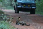 Notes on Field Trips Wilpattu National Park