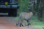 Notes on Field Trips Wilpattu National Park