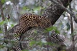 Notes on Field Trips Wilpattu National Park