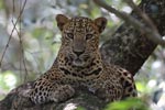 Notes on Field Trips Wilpattu National Park