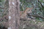 Notes on Field Trips Wilpattu National Park