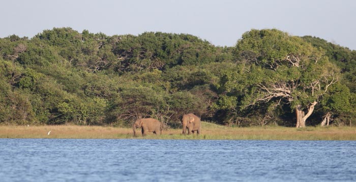 Notes on Field Trips Wilpattu National Park