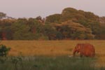 Notes on Field Trips Wilpattu National Park