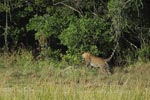 Notes on Field Trips Wilpattu National Park