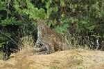 Notes on Field Trips Wilpattu National Park