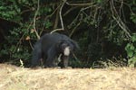 Notes on Field Trips Wilpattu National Park