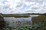 Notes on Field Trips Wilpattu National Park