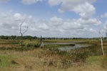 Notes on Field Trips Wilpattu National Park