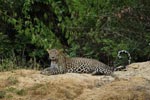 Notes on Field Trips Wilpattu National Park