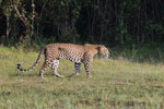 Notes on Field Trips Wilpattu National Park