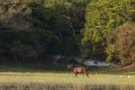 Notes on Field Trips Wilpattu National Park