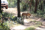 Notes on Field Trips Wilpattu National Park