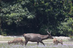 Notes on Field Trips Wilpattu National Park