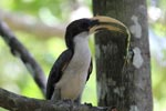 Notes on Field Trips Wilpattu National Park