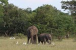 Notes on Field Trips Wilpattu National Park