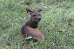 Notes on Field Trips Wilpattu National Park