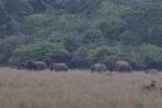 Notes on Field Trips Wilpattu National Park