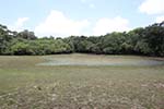 Wilpattu National Park 20th to 23rd April 2024