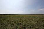 Wilpattu National Park 20th to 23rd April 2024