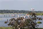 Wilpattu National Park 20th to 23rd April 2024